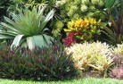 Coilabali-style-landscaping-6old.jpg; ?>