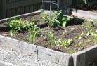 Coilapermaculture-4.jpg; ?>