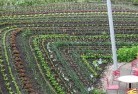 Coilapermaculture-5.jpg; ?>